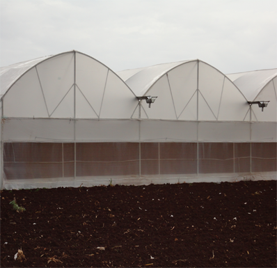  Greenhouse Farming & Manufacturers